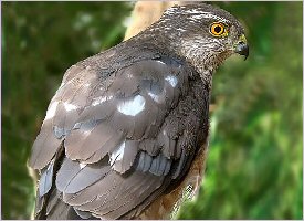 Up close to Nature in Costa Rica