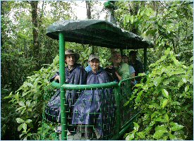 The tram passes through the middle of the canopy and the guide provides all the information