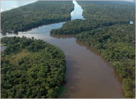 The Tortuguero canals, crossing primary forest in Costa Rica