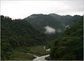 The ever green of the Braulio Carrillo National Park
