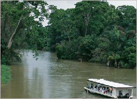 Navigating through the canals in Tortuguero, Costa Rica