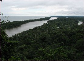 The Tortuguero area is in the North Caribbean of Costa Rica