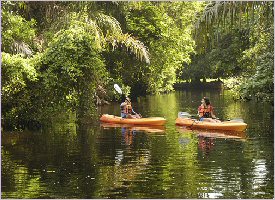 Kayaking in the Tortuguero canals in Costa Rica will reconnect you with Nature