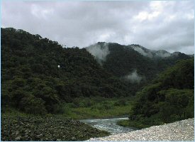 The Braulio Carrillo National Park in Costa Rica